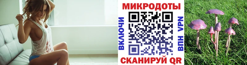 Галлюциногенные грибы Psilocybe Кушва