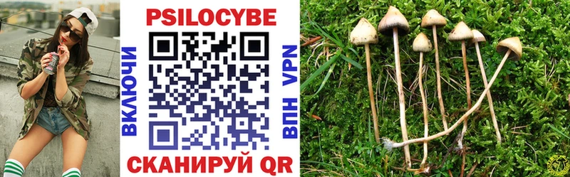 Галлюциногенные грибы мицелий гидра как войти Кушва закладки